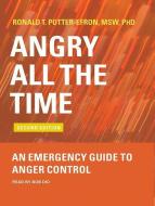Angry All the Time: An Emergency Guide to Anger Control di Ronald T. Potter-Efron edito da Tantor Audio