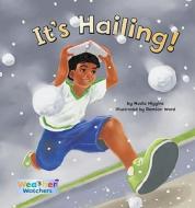 It's Hailing! di Nadia Higgins edito da Magic Wagon