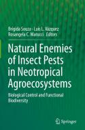 Natural Enemies Of Insect Pests In Neotropical Agroecosystems edito da Springer Nature Switzerland Ag