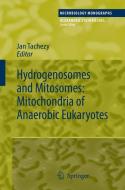 Hydrogenosomes and Mitosomes: Mitochondria of Anaerobic Eukaryotes edito da Springer Berlin Heidelberg