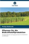Pflanzen für die Biokraftstoffproduktion di Pratap Naikwade edito da Verlag Unser Wissen