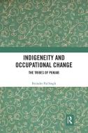 Indigeneity And Occupational Change di Birinder Pal Singh edito da Taylor & Francis Ltd