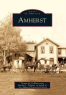 Amherst di Donna M. Deblasio, Martha I. Pallante, Amherst Historical Society edito da ARCADIA PUB (SC)
