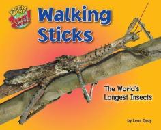 Walking Sticks: The World's Longest Insects di Leon Gray edito da BEARPORT PUB CO INC