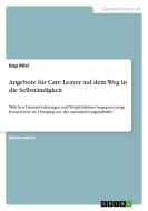 Angebote für Care Leaver auf dem Weg in die Selbständigkeit di Ezgi Bilal edito da GRIN Verlag