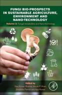 Fungi Bio-Prospects in Sustainable Agriculture, Environment and Nano-Technology: Volume 3: Functional Genomics and Nano-Technology edito da ACADEMIC PR INC