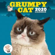 Grumpy Cat 2020 Wall Calendar di Grumpy Cat edito da Chronicle Books