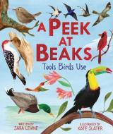 A Peek at Beaks: Tools Birds Use di Sara Levine edito da MILLBROOK PR