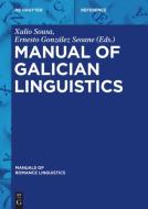 Manual of Galician Linguistics edito da de Gruyter Mouton