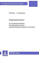 Organisationskultur di Andreas Sourisseaux edito da Lang, Peter GmbH