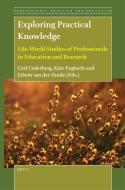 Exploring Practical Knowledge: Life-World Studies of Professionals in Education and Research edito da BRILL ACADEMIC PUB