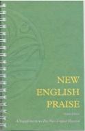 New English Praise Organ Edition di English Hymnal Co edito da CANTERBURY PR NORWICH