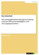Die leitungsgebundene Energieversorgung zwischen Wettbewerbsfähigkeit und Versorgungssicherheit di Rico Hetzschold edito da GRIN Publishing