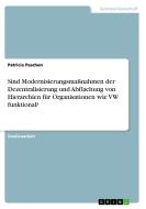 Sind Modernisierungsmaßnahmen der Dezentralisierung und Abflachung von Hierarchien für Organisationen wie VW funktional? di Patricia Paschen edito da GRIN Verlag