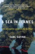 A Sea in Flames: The Deepwater Horizon Oil Blowout di Carl Safina edito da CROWN PUB INC