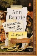 A Wonderful Stroke of Luck di Ann Beattie edito da Penguin LCC US