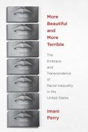 More Beautiful and More Terrible di Imani Perry edito da New York University Press