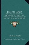 Prison Labor: With Tables Showing the Proportion of Convict to Citizen Labor in the Prisons of the State of New York, and of the Uni di John S. Perry edito da Kessinger Publishing