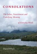 Consolations: The Solace, Nourishment and Underlying Meaning of Everyday Words di David Whyte edito da MANY RIVERS PR