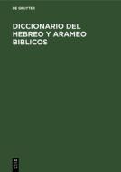 Diccionario del hebreo y arameo Biblicos di Georg Fohrer edito da De Gruyter