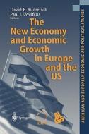 The New Economy and Economic Growth in Europe and the US edito da Springer Berlin Heidelberg