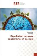 Dépollution des eaux souterraines et des sols di Naouel Dali, Habiba Dali edito da Éditions universitaires européennes