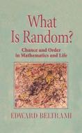 What Is Random? di Edward Beltrami edito da Springer New York