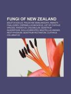 Fungi Of New Zealand: Boletus Edulis, Am di Books Llc edito da Books LLC, Wiki Series