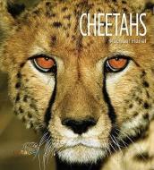 Cheetahs di Rachael Hanel edito da CREATIVE CO