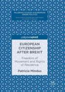European Citizenship After Brexit di Patricia Mindus edito da Springer International Publishing Ag