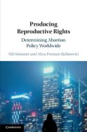 Producing Reproductive Rights di Udi Sommer, Aliza Forman-Rabinovici edito da Cambridge University Press