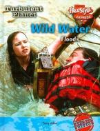 Wild Water: Floods di Tony Allan edito da Raintree
