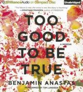 Too Good to Be True di Benjamin Anastas edito da Brilliance Corporation