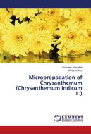 Micropropagation of Chrysanthemum (Chrysanthemum Indicum L.) di Ambreen Zafarullah, Shagufta Naz edito da LAP Lambert Academic Publishing