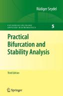 Practical Bifurcation and Stability Analysis di Rüdiger Seydel edito da Springer-Verlag GmbH