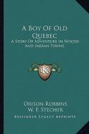 A Boy of Old Quebec: A Story of Adventure in Woods and Indian Towns di Orison Robbins edito da Kessinger Publishing