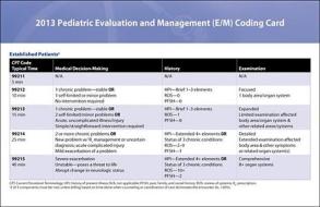 2013 Evaluation and Management (E/M) Quick Reference Coding Card di Committee on Coding and Nomenclature edito da American Academy of Pediatrics