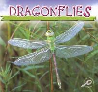 Dragonflies di Jason Cooper edito da Rourke Publishing (FL)