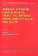 Surface Waves in Geomechanics: Direct and Inverse Modelling for Soils and Rocks edito da Springer Vienna