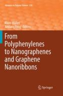 From Polyphenylenes to Nanographenes and Graphene Nanoribbons edito da Springer International Publishing