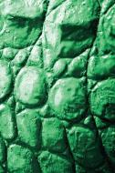 Alive! crocodile skin - Emerald duotone - Photo art notebooks (6 x 9 series) di Eva-Lotta Jansson edito da Blurb