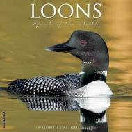 Loons Calendar edito da Willow Creek Press