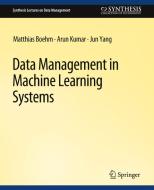 Data Management in Machine Learning Systems di Matthias Boehm, Jun Yang, Arun Kumar edito da Springer International Publishing