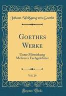 Goethes Werke, Vol. 29: Unter Mitwirkung Mehrerer Fachgelehrter (Classic Reprint) di Johann Wolfgang Von Goethe edito da Forgotten Books