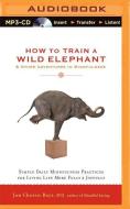 How to Train a Wild Elephant & Other Adventures in Mindfulness: Simple Daily Mindfulness Practices for Living Life More Fully & Joyfully di Jan Chozen Bays edito da Audible Studios on Brilliance