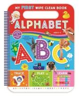 My First Alphabet Wipe Off Handle Book di Kidsbooks edito da RAINSTORM