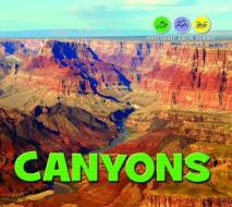 Canyons di Kathy Furgang edito da ENSLOW PUBL