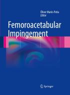 Femoroacetabular Impingement edito da Springer-verlag Berlin And Heidelberg Gmbh & Co. Kg