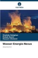 Wasser-Energie-Nexus di Shahide Dehghan, Robab Razmi, Hossein Gholami edito da Verlag Unser Wissen