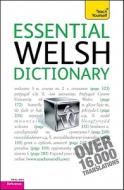 Essential Welsh Dictionary: Welsh-English/English-Welsh di Edwin C. Lewis edito da McGraw-Hill